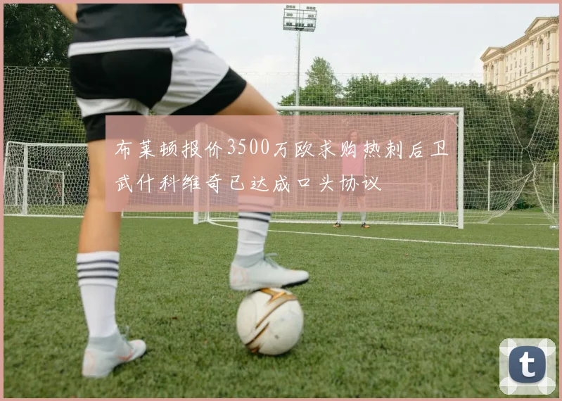 布莱顿报价3500万欧求购热刺后卫武什科维奇已达成口头协议