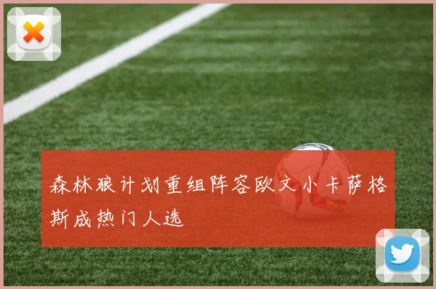 森林狼计划重组阵容欧文小卡萨格斯成热门人选
